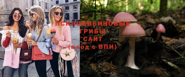 хмурый Волосово